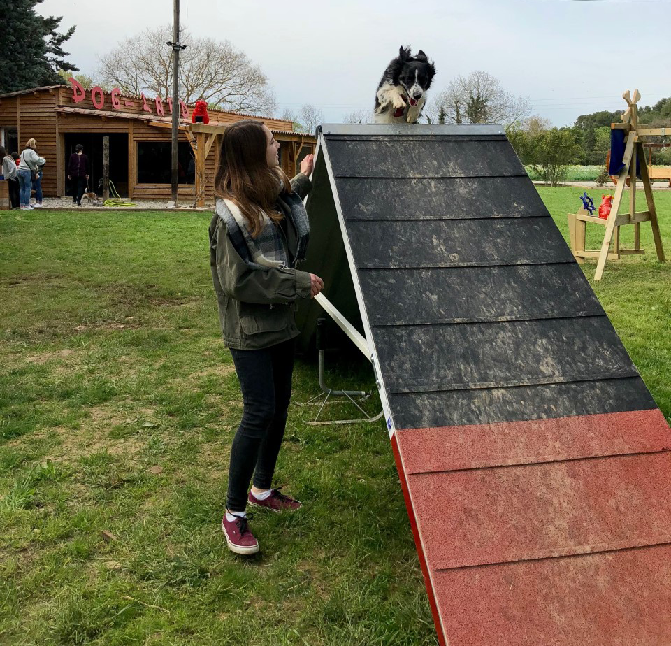 Parc d'attractions — Dogland