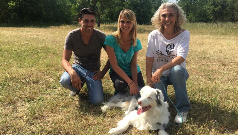 Chien gardé à la pension canine Dogland