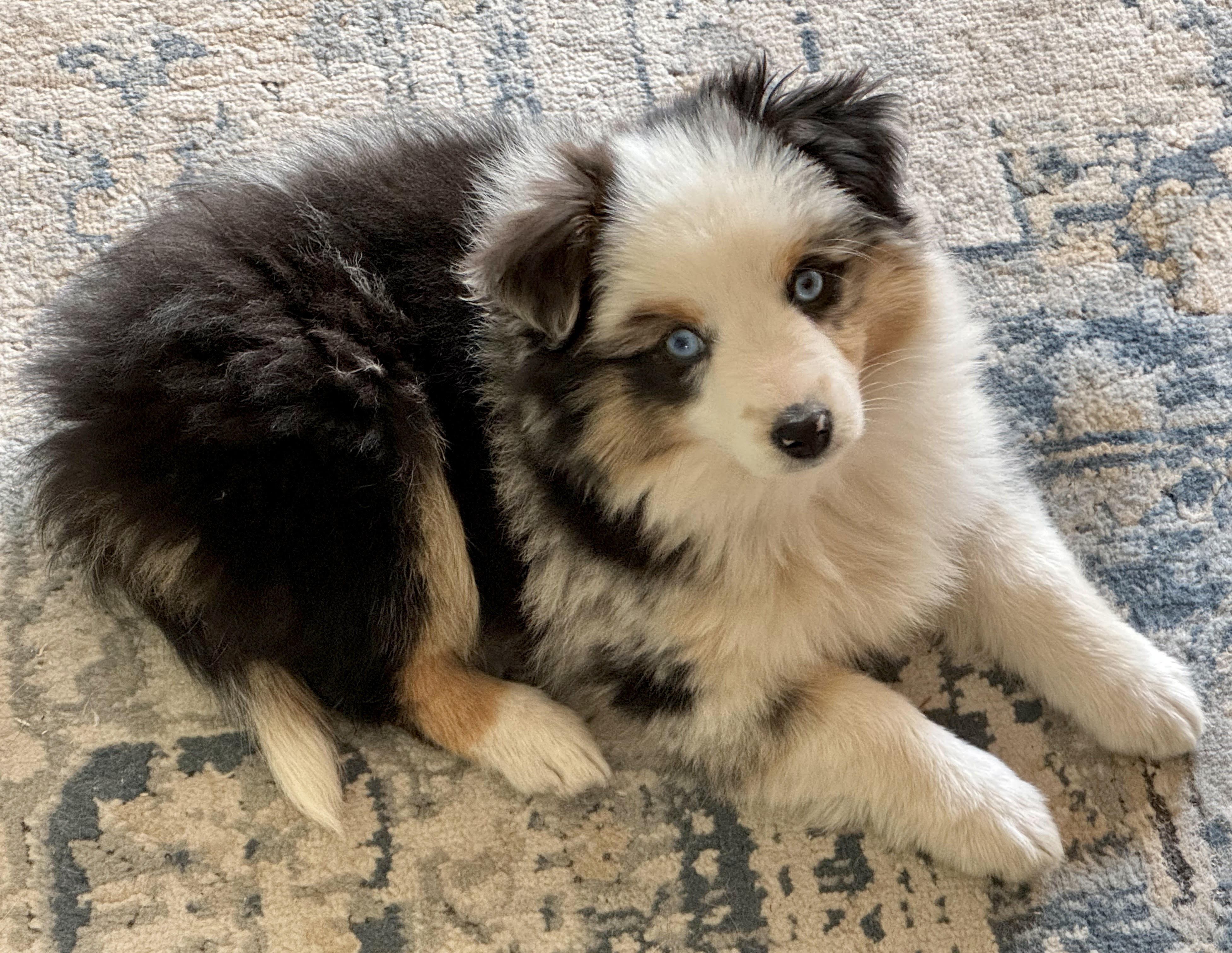 ASPEN